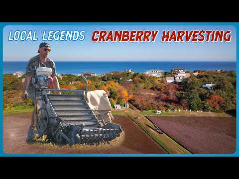 Brad Learns How to Harvest Cranberries on a Legendary Cape Cod Bog | Local Legends | Brad Leone