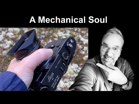 The Leica M4: A Photographer’s Honest First Month