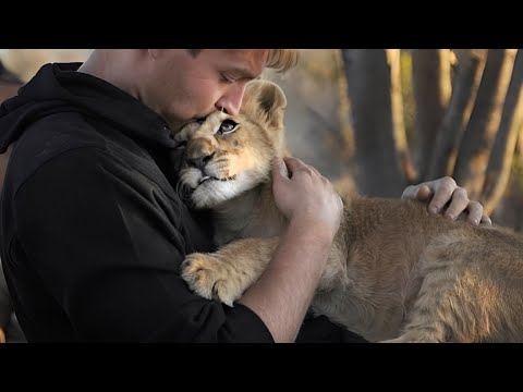 Spectacular Animal-Human Relationships | Cute Animal