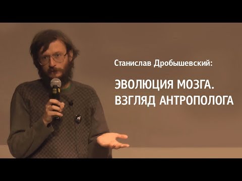 Станислав Дробышевский: Эволюция мозга. Взгляд антрополога
