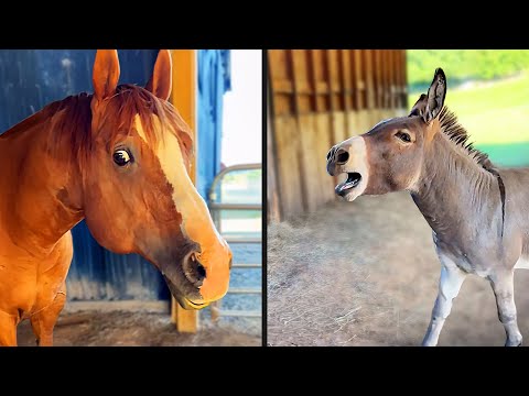 Their Reaction Was Brutal