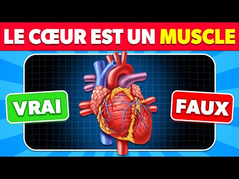 🧠 Connais-tu vraiment le CORPS HUMAIN ? 👩🏻⚕️🩺✅ Quiz de Culture Générale sur l'Anatomie