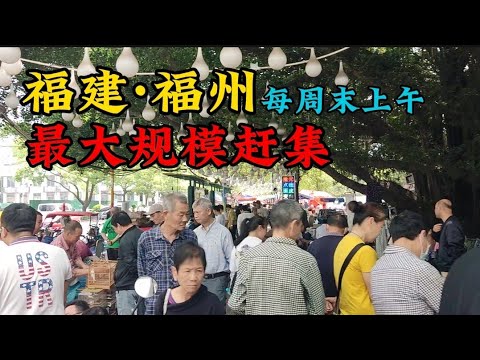 福州最大赶集市场，几十年来依旧人声鼎沸，福州人必须知道的淘货好去处 China market