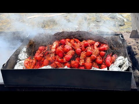 300 LOBSTERS, Clams New England Clambake at Cabbage Island | SELLS OUT Every Year!
