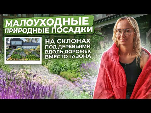 Малоуходные посадки в природном стиле