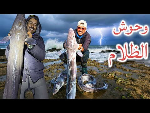 ليلة القبض على أضخم أفاعي البحر | مواجهة وحوش الصنور في ظلام الليل