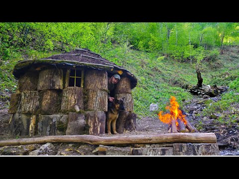 Tree Stump Cabin Build: Surviving 5 Nights