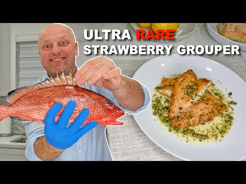 The Most Beautiful Fish I've Ever Cooked - Rare Strawberry Grouper 