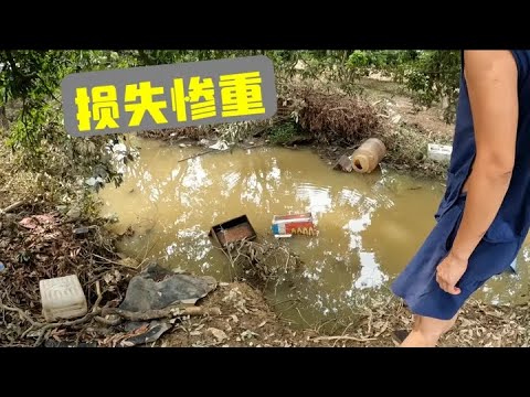 一场台风导致两个蜂场被洪水淹没，损失了28箱蜜蜂，这次亏大了！ #我的乡村生活