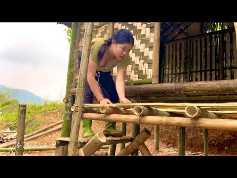 Country Girl Builds Bamboo House Alone in the Wild Forest - Farm Life - Survival | Ma Thi Hieu