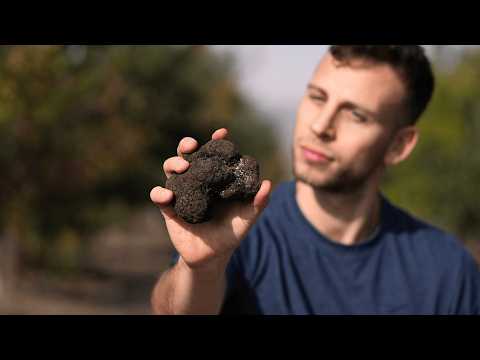 I bought the most expensive mushroom in the world, a waste of money?