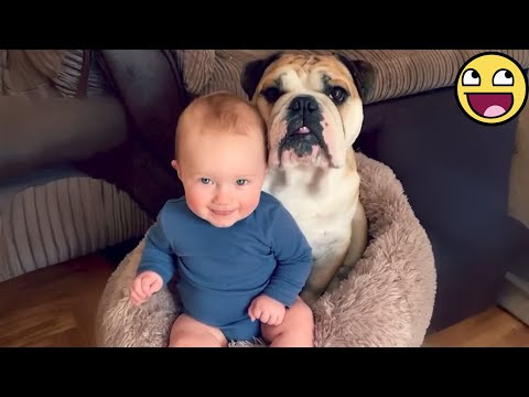 When Your Baby and Dog Have A Secret Language ❤️