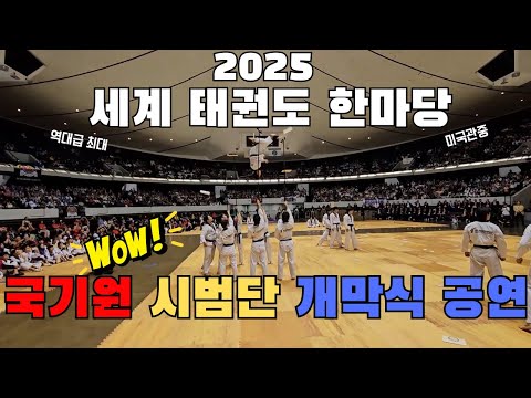 [풀영상] 미국 역대 최대 관중 앞에서 펼쳐진 2025 세계태권도한마당 개막식 – 국기원 시범단의 엄청난 퍼포먼스 풀버전 공개!