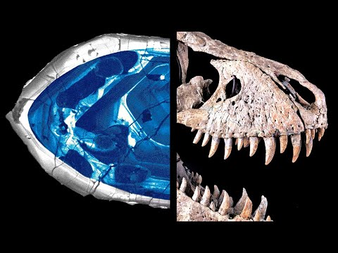 Jaka jest NAJSTARSZA rzecz?