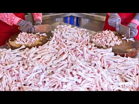 Amazing Chicken Dish Collection, Street food- Roasted Chicken,Chicken Feet/火熱!驚人的雞料理合集,街頭小吃 - 紅磚柴火烤雞