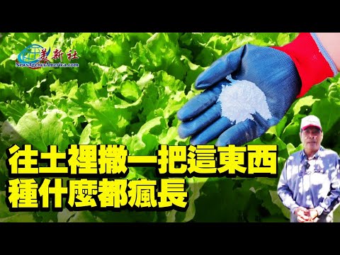 Sprinkle this in soil, everything will grow like crazy