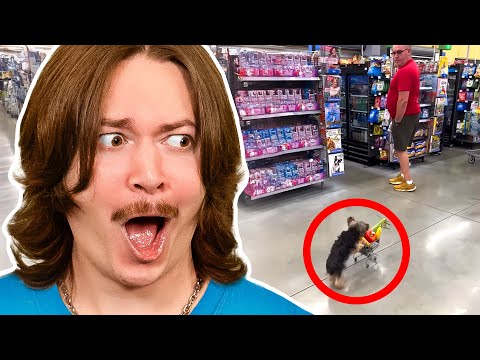 Overdosing on Daily Dose of Internet