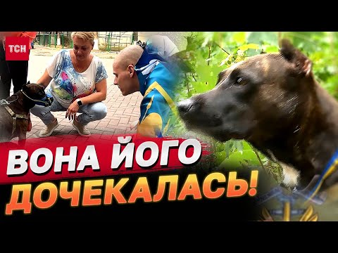 29 МІСЯЦІВ РОЗЛУКИ! Врятований пес з Маріуполя, ДОЧЕКАВСЯ господаря з ПОЛОНУ