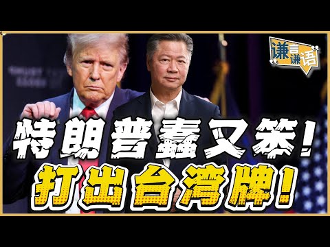 《谦言谦语》赖岳谦 | 特朗普蠢又笨！打出台湾牌！