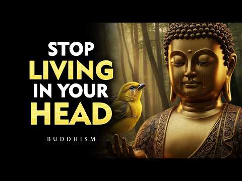 When You Leave Your Mind, Life Becomes Light | Buddhism