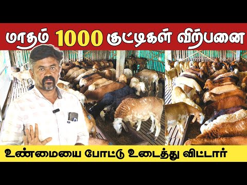 100% இலாபம் தரும் கிடா குட்டிகள் | 4 மாதம் வளர்த்தால் போதும்👌