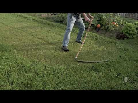 Short Cuts: Austrian Scythe on Lawn