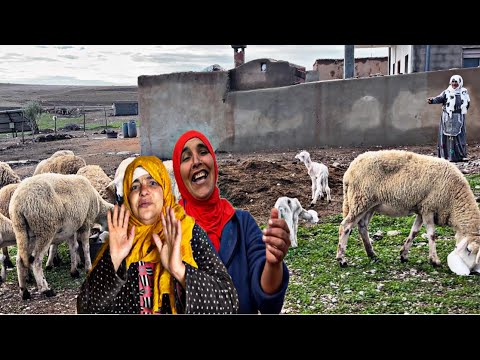 اجواء البادية/ مشي لخاطري هدشي لي خلاني نغيب عليكم🙏🏻نوال فاش كتصوم😂كلشي على مي مليكة لموت ضحك😂🤣