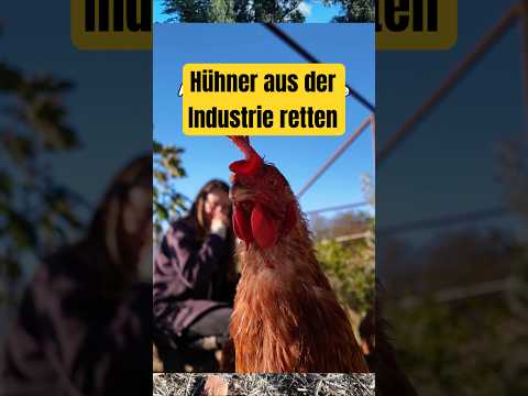 Diese Frau gründet einen Lebenshof statt 9-5 #ungewohnt