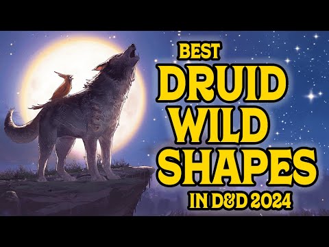 The Best Druid Wild Shapes in D&D 2024