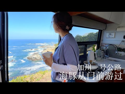 RVing Pacific Highway｜Dolphins in front of my door | Stay at a winery | Camping in red woods