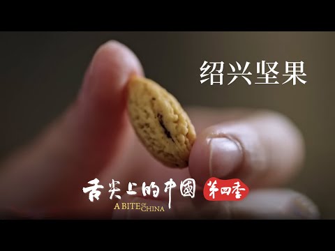 恐龍時代的瑰寶！小小的香榧子 衍生出了榧子魚捲、香榧糯米簍等眾多美食！ | 舌尖上的中國 A Bite of China