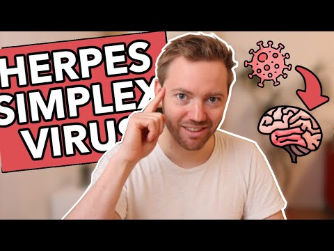 Herpes simplex encephalitis - Neurology for medical students