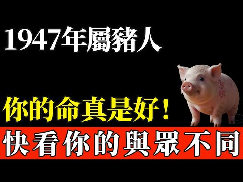 1947年的屬豬人,你的命真是好!你絕對想不到!這是屬於你自己的運程,快看你的與眾不同!【般若之音】#生肖 #運勢 #風水 #財運#命理