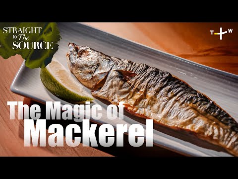 How to Catch the Perfect Mackerel | Straight to the Source