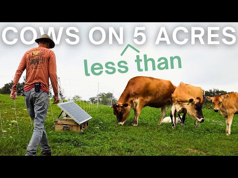 How we raise our own Meat & Dairy! (Regenerative System)
