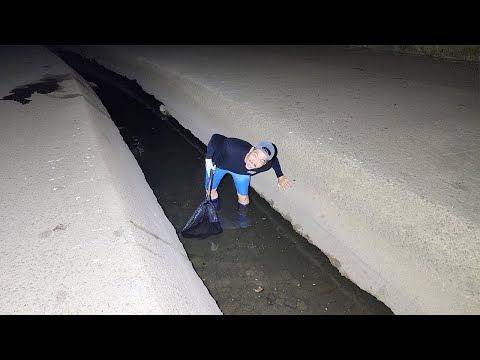 Let's catch this huge guy that lives in a place like this.