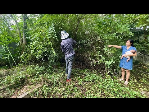quick video single girl with small child asks help house overgrown with grass | satisfying cleaning