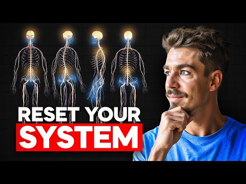 How To Reset A Dysregulated Nervous System (Best Techniques) ft. Anne-Laure Le Cunff