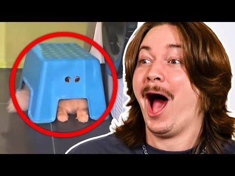 Completely LOSING IT to Daily Dose of Internet