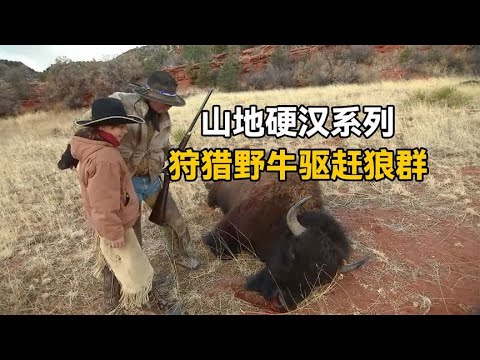山地硬汉系列：猎人进入荒野狩猎巨型美洲野牛，黑夜突袭狼群老巢