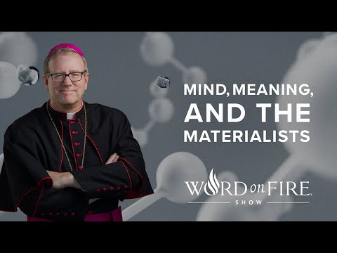 Mind, Meaning, and the Materialists