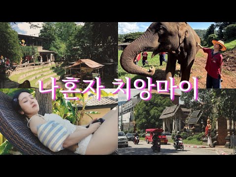 퇴사하고 나 혼자 치앙마이 일주일 살기 🇹🇭