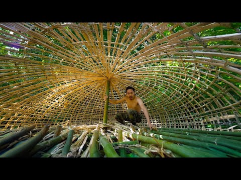 Creating a Hobbit Mushroom House with Minimal Resources - Turn My Dream into Reality | Ly Hoang Linh