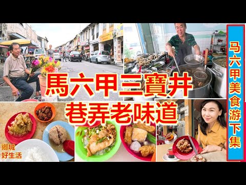 马六甲地道老味道/三宝井的美食让我惊艳！三宝井老巴杀/三轮车猪肠粉,潮盛潮州粥,必吃娘惹餐,马六甲最美的荷兰街 Taste of Melacca 2025