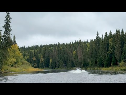 "Прогулки по воде" 2025