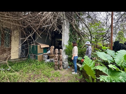 mystery house with many strange wooden furniture | when we came to clean up they were surprised