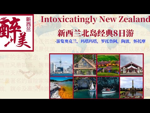 醉美新西兰 -北岛8日经典之旅/奥克兰/玛塔玛塔/罗托鲁瓦/陶波/怀托摩