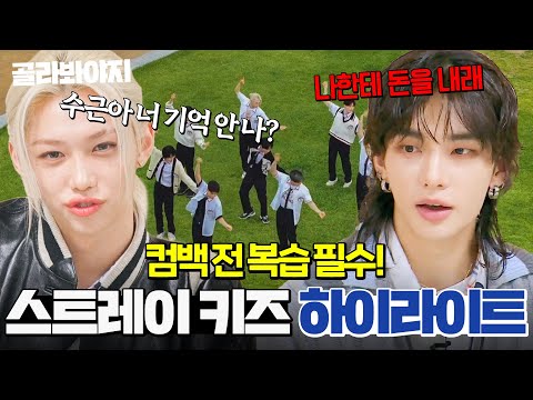 월드★클래스는 예능도 잘해😎 스트레이 키즈(Stray Kids) 예능 하이라이트✨｜아는 형님｜JTBC 240921 방송