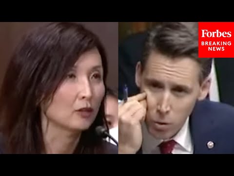 'Tell Me The Logic Behind This Statement': Hawley Presses Judicial Nominee About Her Orgs Statements