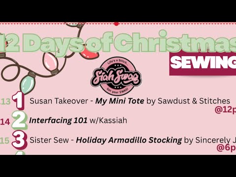 3rd Day of Christmas - Holiday Armadillo by Sincerely, Jen